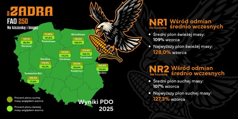 SM Zadra FAO 250 NR1 Wśród odmian średnio wczesnych